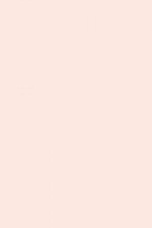 FARROW AND BALL MIDDLETON PINK NO. 245 PAINT
